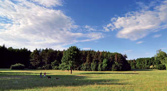 Louky v parku Hostivař-Záběhlice
